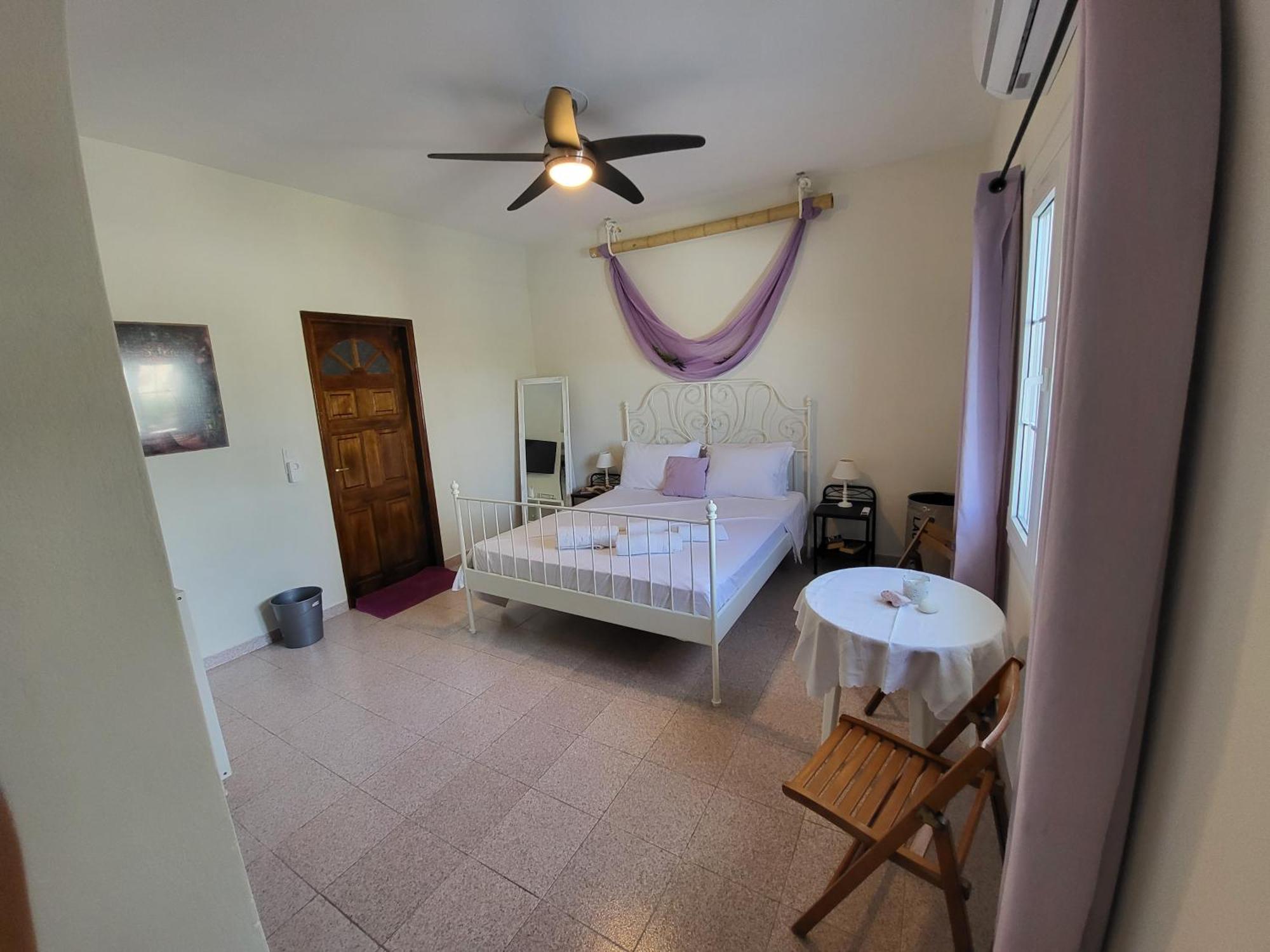 Black Fig Pollonia Room photo